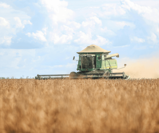 Mavielo Agromarketing - Agencia de marketing para o agronegocio