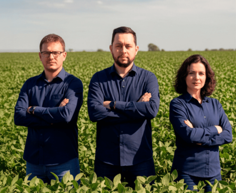 Mavielo Agromarketing - Agencia de marketing para o agronegocio